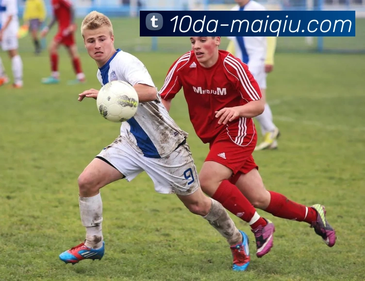 十大买球网站平台生态图