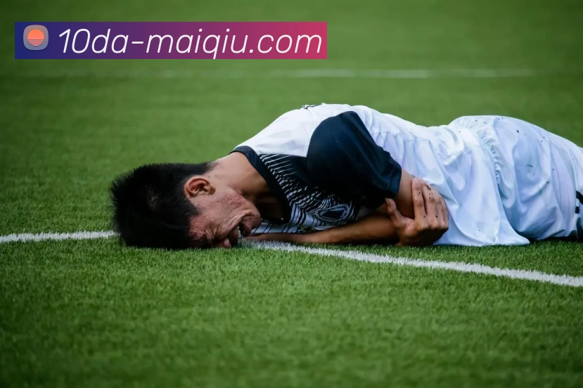 十大买球网站全站App